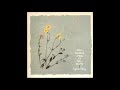 Virginia Astley - From Gardens Where We Feel Secure [Full Album]