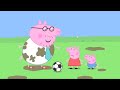 Peppa houdt van Goudje de vis  ❤️ Tekenfilm | Peppa Pig Nederlands Compilatie Nieuwe