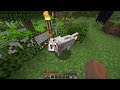 Travelling 1000 Blocks by Minecart + a new dog || Minecraft
