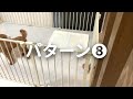 【犬🐶トイレのしつけ】困った…どうしても前足が出る！【初めて犬を飼う】