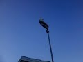 My Timelapse Monopod and Weather Station Setup (Today) July 6th, 2024