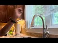 How to Replace a Kitchen Faucet | Installing a Delta Leland Kitchen Faucet