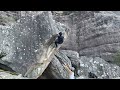 GRAMPIANS THE CITADEL [SCARY MONSTERS] V6