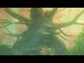 Legend of Zelda Anime Series Voice Ideas