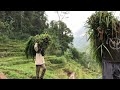 walking in beautiful Indonesian villages || beautiful village in the mountains of Java