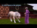 The Sims 3: All About Unicorn! (Pets)