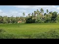 👀🥦Beautiful environment with fields and mountain ranges.🇱🇰🥦#natural #nature #beautiful #shortvideo 🥦