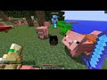 Why Elytras are BANNED on 2b2t