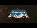 Песенка про птичек и кошек (с текстом)