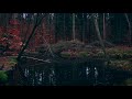 Sublab & Azaleh - Aufbruch (Music Video)