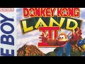 Donkey Kong Country 3: Identity Crisis - Donkey Kong Dissection