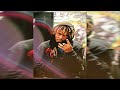 [FREE] Juice WRLD Ambient Type Beat 2023 - 