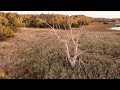 Glen Waverley savannah - Dji Mavic Pro