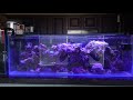 Latest look of the saltwater and freshwater tanks