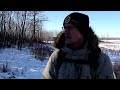 Half a Hike!? But Almost All the Bison! Lake Tawayik Trail, Elk Island National Park