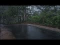 Rain in the morning that is soothing to sleep l rain on a mountain village road in Java, Indonesia