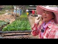 ปลูกผักสวนครัว | เพื่อให้ความสุข | สร้างเงิน กับพี่เกสร🌿