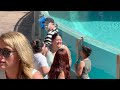 Laugh with Mime Tom at SeaWorld Orlando | Tom the Mime