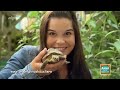 Schildkröte | Information für Kinder | Anna und die Haustiere