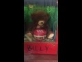 Billy the Bear