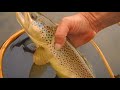 FLY FISHING- WADE IN THE SHADE with Chris Walklet