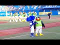 ドアラとつばくろう【いつものダンス】