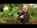 3 Ways to Build Soil Health💛