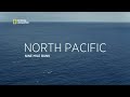 Secrets of the Sea | Hostile Planet | Full Episode S01-E02 | हिन्दी | National Geographic