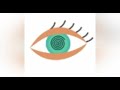 Иллюзии для глаз (безвредный виртуальный наркотик 👌)