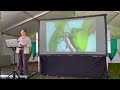 Plant-invertebrate relationships with Helen Schwencke