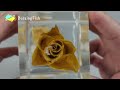 🌹 What Happens When You Put Fresh Rose Flower In Resin? | Fresh Rose VS Dried Rose 🌹