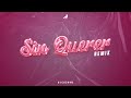 Fer Vazquez, Flor Alvarez - Sin Querer (Remix) - DJ Cu3rvo