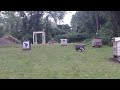 Target Perspective from 30yds - 2 arrows