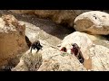 The difficult passage of a village woman with her children in the mountains