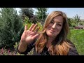 Planting Seeds for Fall Crops + Ice Plants! 🌱🥒🥕 // Garden Answer