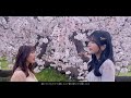 【女性がハモって歌う / MV】桜 / コブクロ Covered by 奈良姉妹