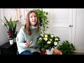 Gardenia Care Indoors // How to care for the gardenia inside with Northlawn Flower Farms