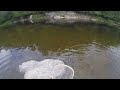 Fly fishing for sea run trout in the Hammond river
