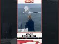 Watch: Humpback whale strikes a fishing boat in US | Gravitas | WION Shorts