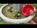 Concrete Fountains - DIY Fountain Project for Outdoors