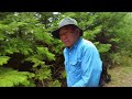 【田舎暮らし】放置しすぎた山の草刈りは大変でした！【vlog】【山口県】