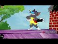 Pushpa 2 Teaser scenes performed by Tom and Jerry ~ Funny Meme ~ Edits MukeshG
