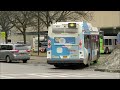 BUSES OF NFTA METRO | DOWNTOWN BUFFALO RUSH HOUR