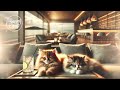 Healing Piano Jazz Work BGM Cafe Healing Relaxing Bossanova chill【Relaxing Cat Chord】