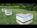 Sourwood Honey Report 2024