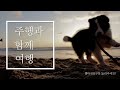 #자연의영감(The inspirtion of Nature)#자연은 모래 백사장에서 디자인과 패턴의 예술로 만들어 놓았다#자연#모래#백사장#영감#예술#아름다움#시선#바다#파도#바람