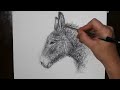 Sketching a Donkey Like a Mentallist