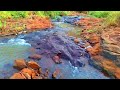 RELAXING ASMR WITH BEAUTIFUL NATURE BIRD SOUNDS AND WATER STREAM FLOWING IN THE DEEP FOREST