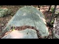 Megalithic Carolina: Example of a Giant Sleeping Water Fowl Effigy. Supporting Evidence.