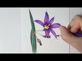 초보자를 위한 색연필로 꽃과 잎의 줄무늬 표현 방법 / 진보라색 꽃 그리기 / Drawing deep purple flowers with colored pencils